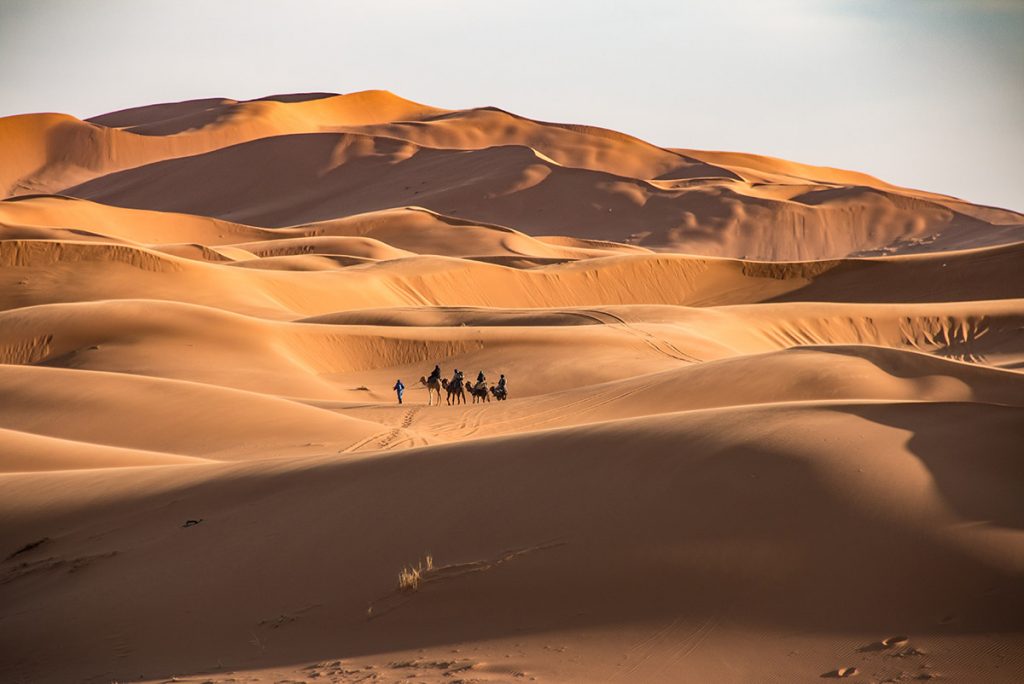 Camel ride on the Erg Chebbi Dunes in Morocco