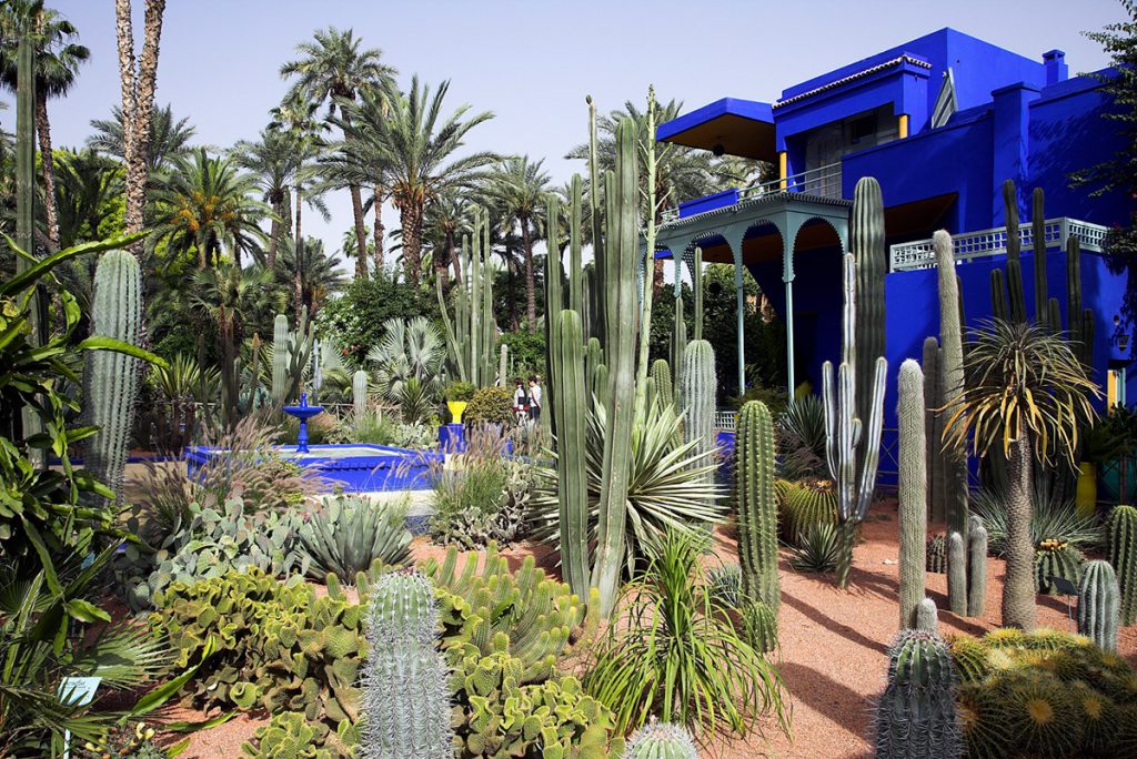 Striking blue architecture in Marrakech's Jardin Majorelle, Morocco