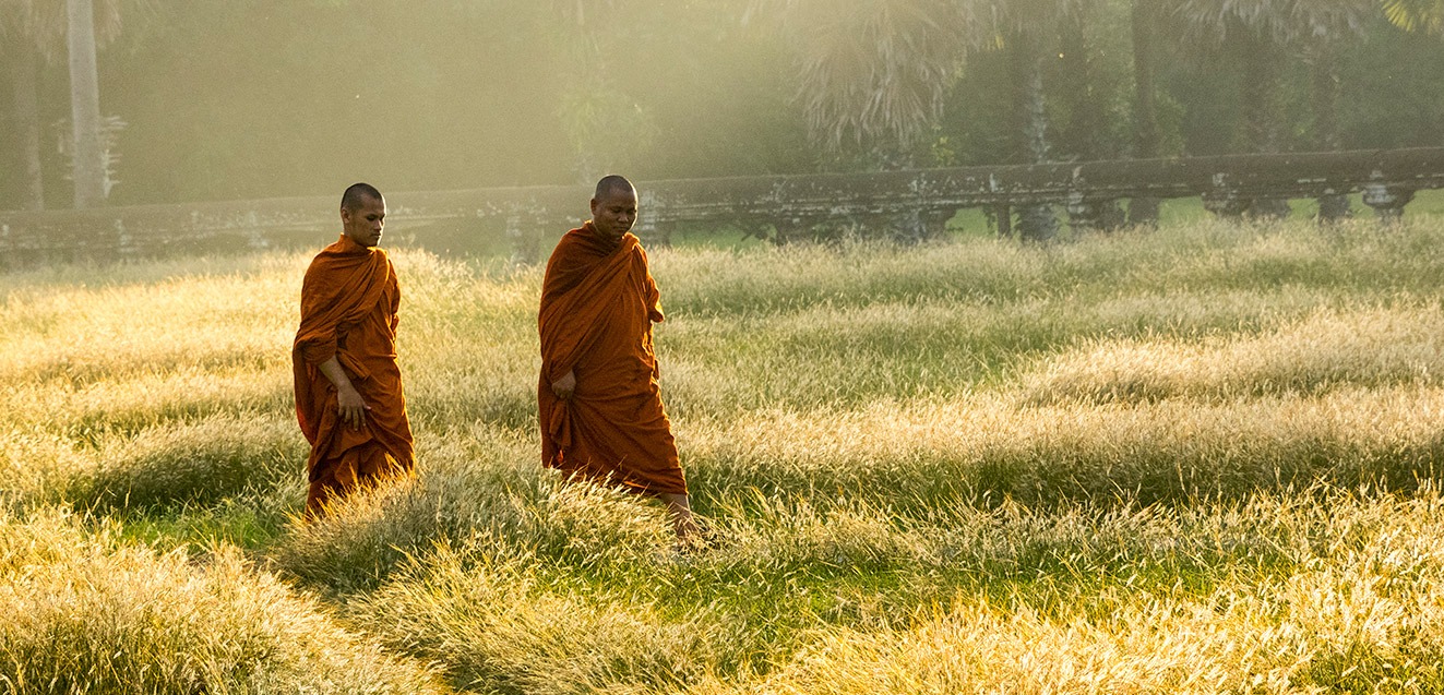 Monks walking in a field near Angkor Wat, Cambodia