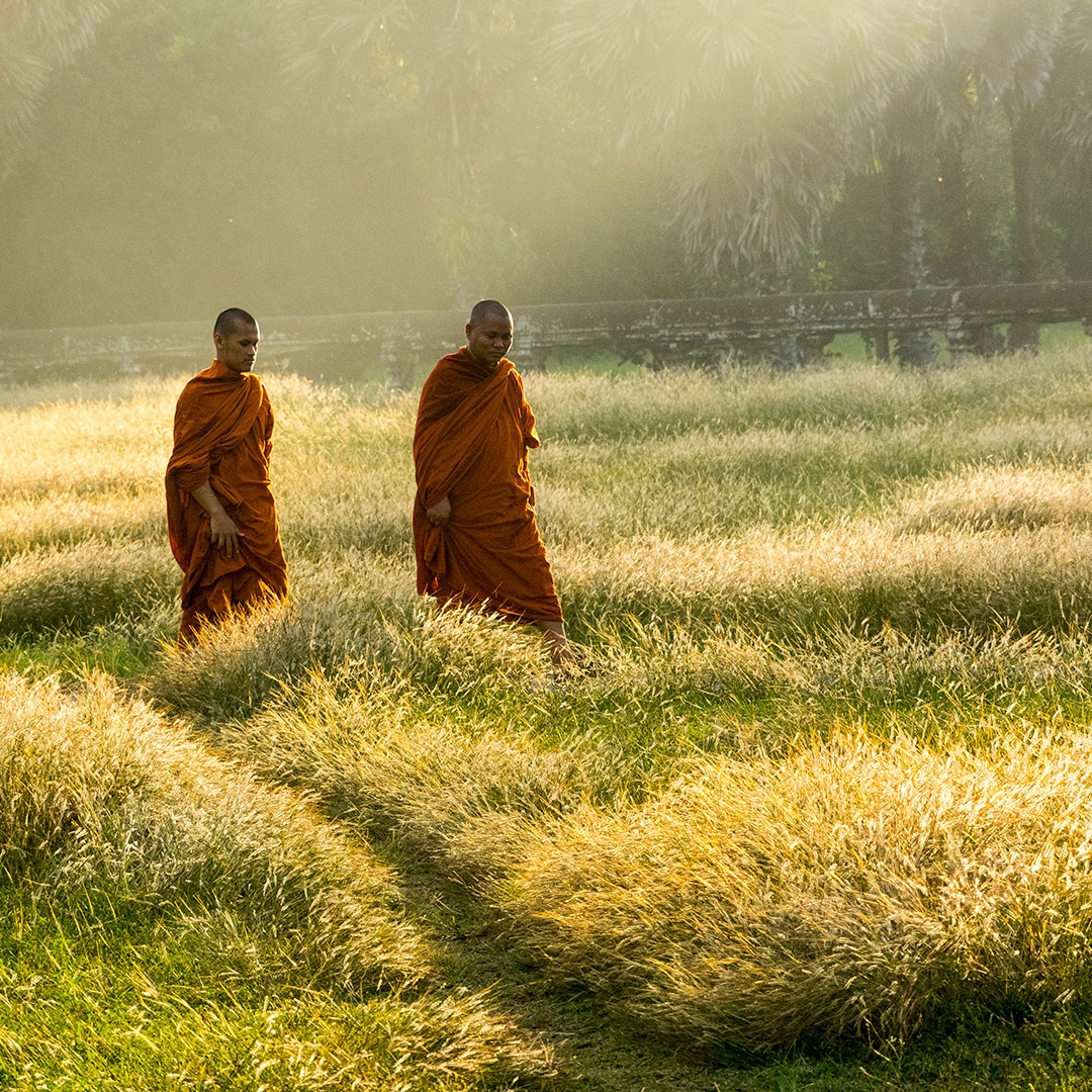 Monks walking in a field near Angkor Wat, Cambodia