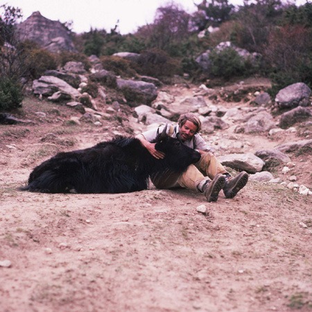 GeoEx's Al Read with a yak in the Himalaya