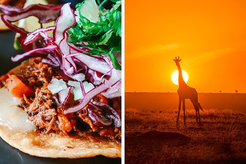 Tacos in Mexico and giraffe at sunset in the Masai Mara, Kenya