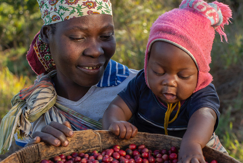 Mother with baby at coffee plantation near Gorongosa National Park, Mozambique