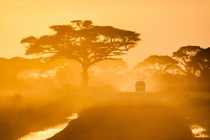 Safari vehicle and trees at sunset in Kenya
