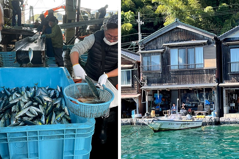 Fish market and funaya in Ine, Japan